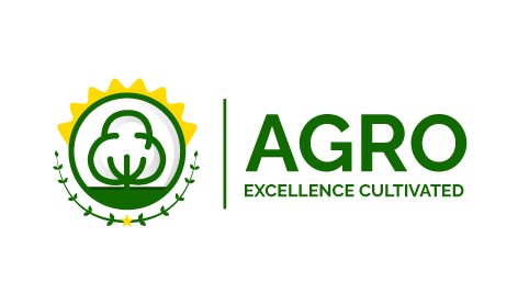 Modern Beach Sun Logo