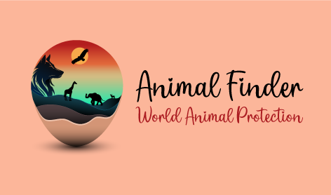 Adventurous Tourism Animal Logo