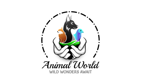 Animal Care Center Logo