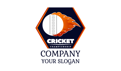 Fierce White Cricket Ball Logo