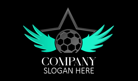 Vibrant Flight Football Logo
